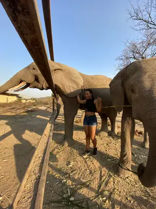 Kéran National Park — Elephant Safari