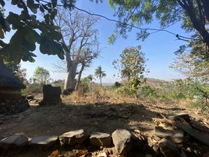 Koumea Hills & Local Flavours