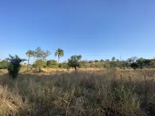 Nature Hills
