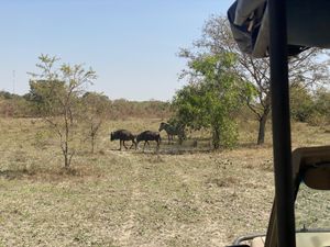 Sarakawa Wildlife Park