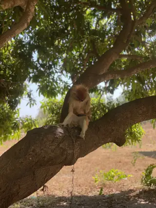 Sarakawa Wildlife Park