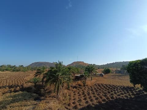 View from Hôtel Masony roof
